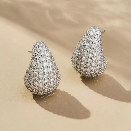 Elegant Silver Paved Crystal Earrings – Luxury Statement Studs for Women